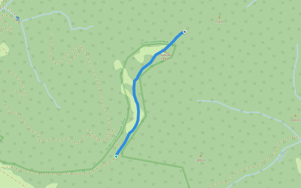 overgrown path - заросшая тропа walking route map in Oblego