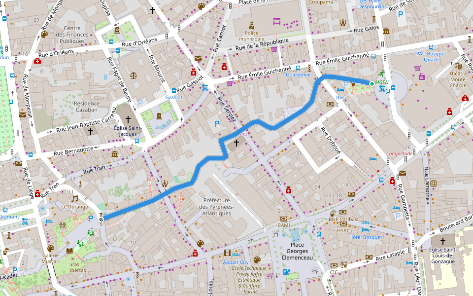 Rue du Hédas walking route map in Pau