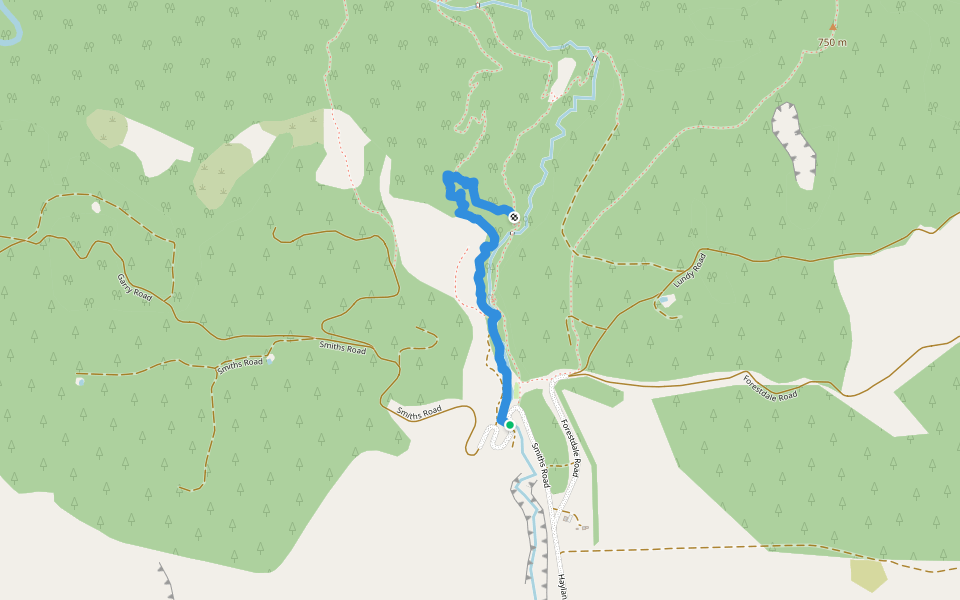 Kereru Track walking route map in Okuku