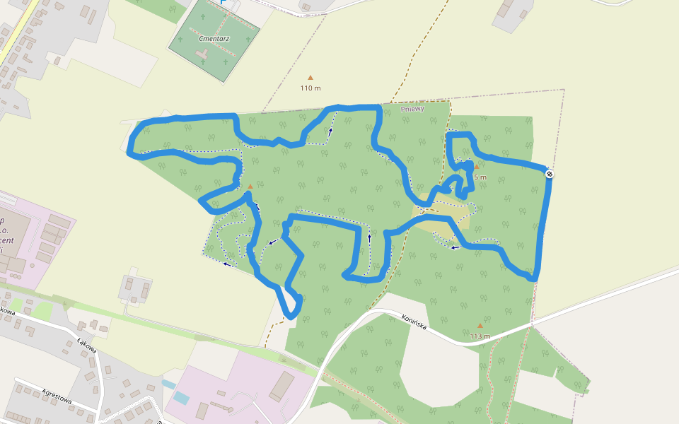 Singletrack - Trasa Mistrzostw Wielkopolski W Kolarstwie Górskim walking route map in Pniewy
