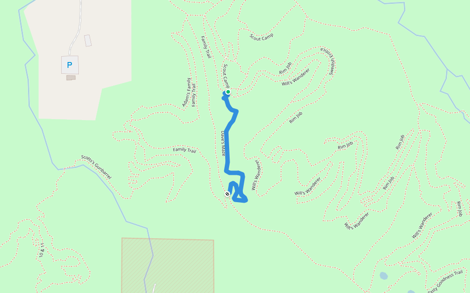 Dave's Maze walking route map in Buckner