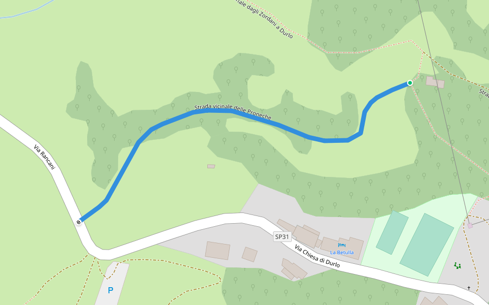 Strada vicinale delle Proneche walking route map in Durlo