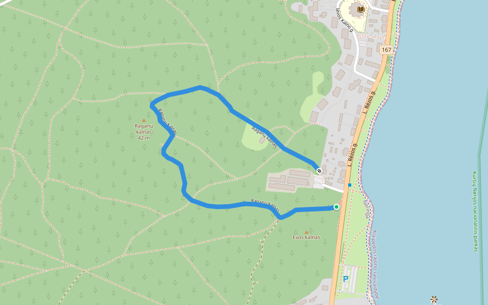 Raganų kalnas walking route map in Juodkrantė