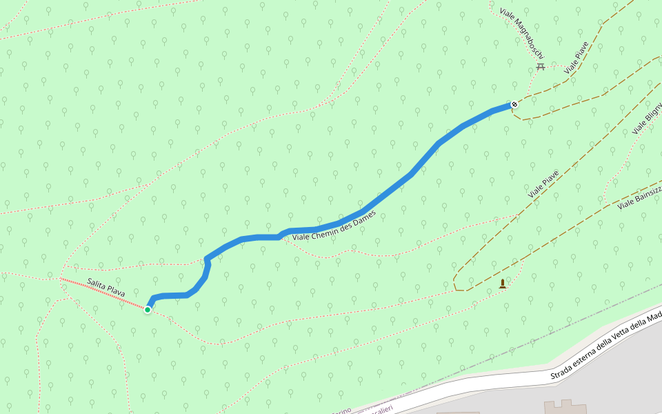 Viale Chemin des Dames walking route map in Moncalieri
