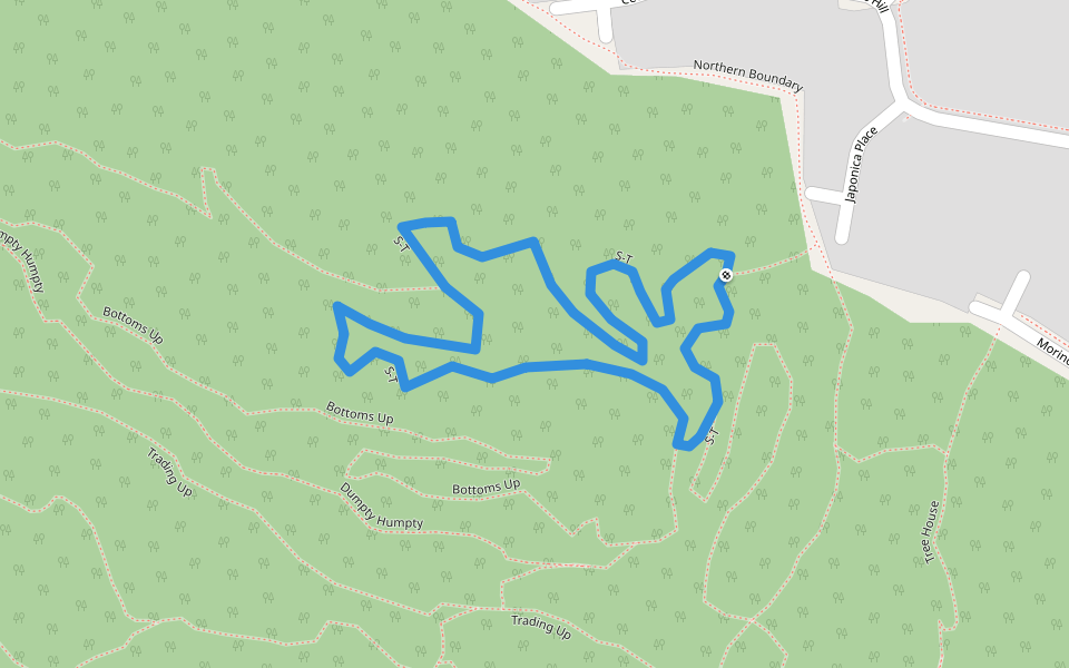 S-T walking route map in Valentine