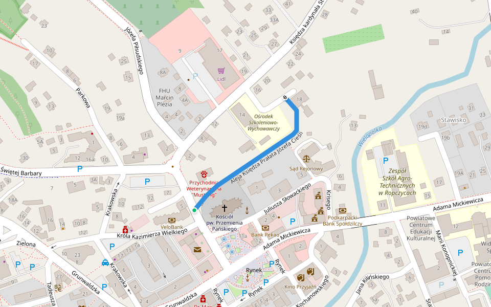 Aleja Księdza Prałata Józefa Cieśli walking route map in Ropczyce