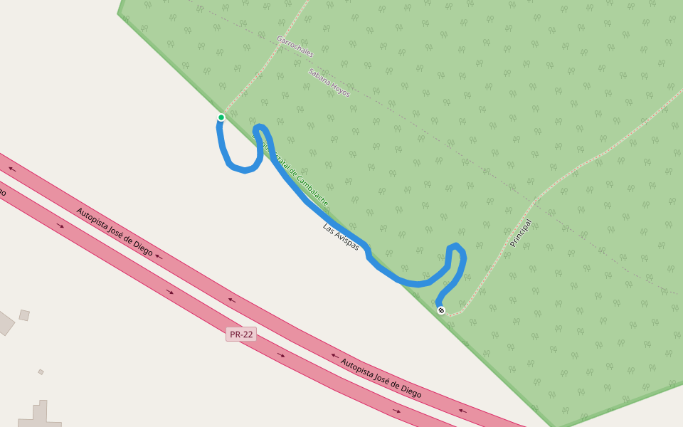 Las Avispas walking route map in Sabana Hoyos