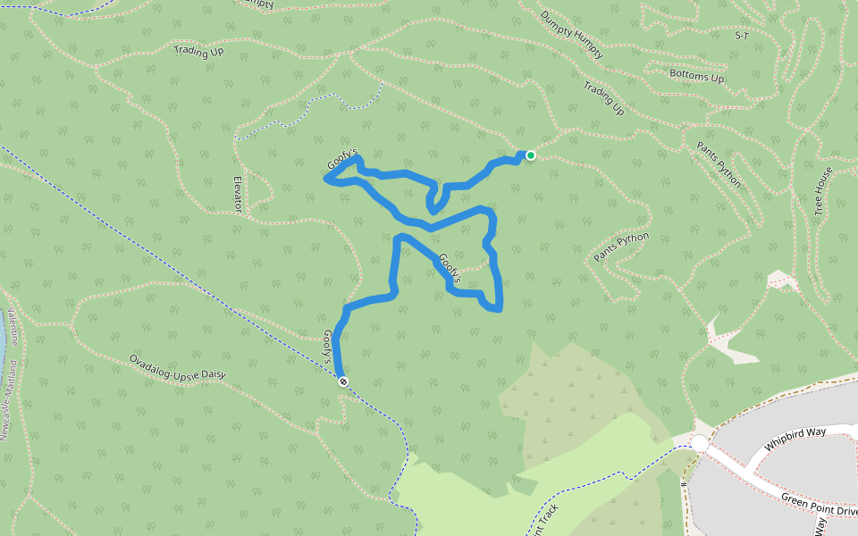 Goofy's walking route map in Valentine