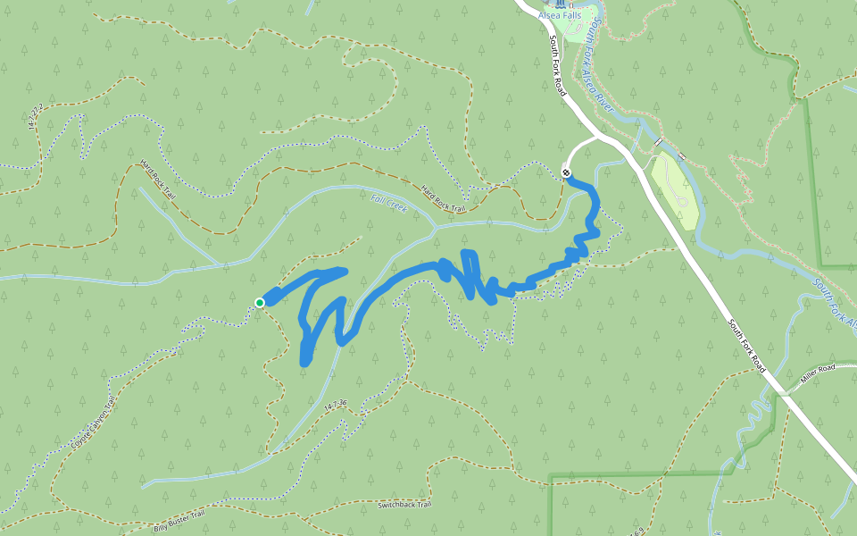 Springboard walking route map in Alsea