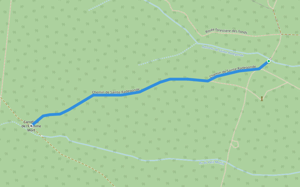 Chemin de Sainte-Radegonde walking route map in Saint-Prix