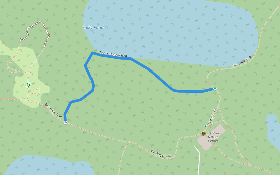 Giant's Hollow Trail walking route map in Tower Lakes