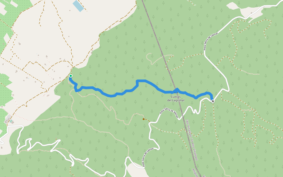 Senda de la Cueva del Lagrimal walking route map in Yecla