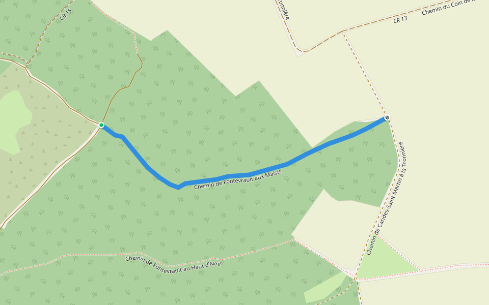 Chemin de Fontevrault aux Maisis walking route map in Candes-Saint-Martin