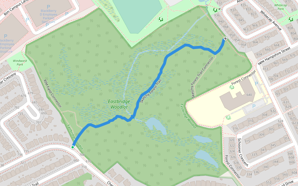 Sketchy Forest Trail walking route map in Waterloo