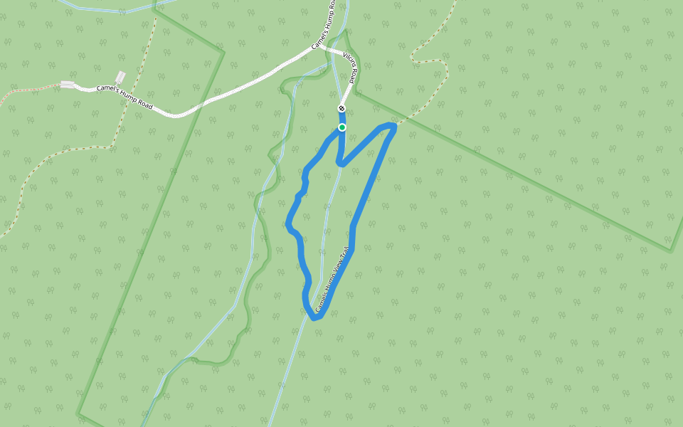 Camels Hump View Trail walking route map in Duxbury