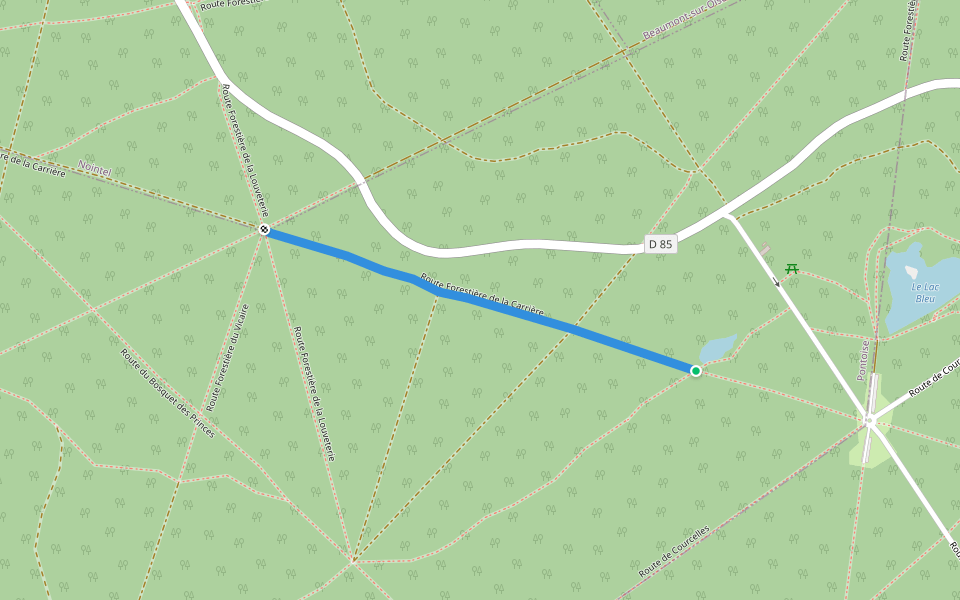 Route Forestière de la Carrière walking route map in Presles