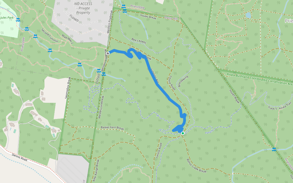 Jumping Ant walking route map in Daisy Hill
