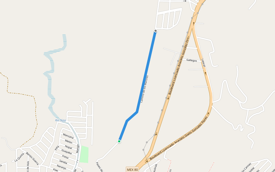Camino de los Mártires walking route map in Tepatitlán de Morelos