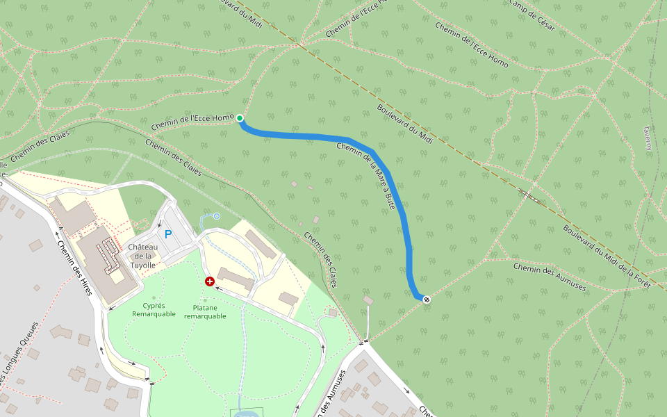 Chemin de la Mare à Bute walking route map in Taverny