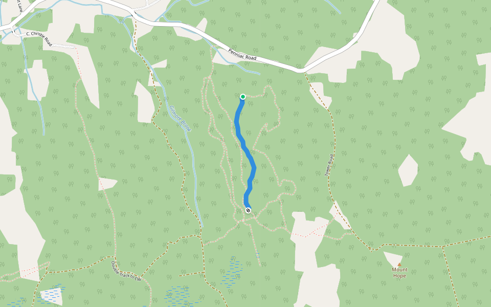 Clayton Road Climb walking route map in Mount Hope