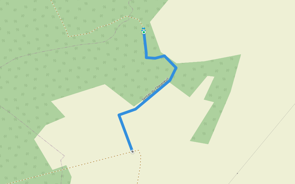 Sentier du Chevereuil walking route map in Chemilly-sur-Yonne