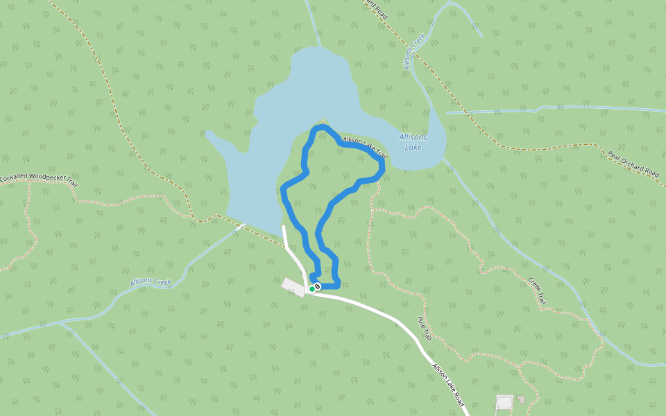 Allison Lake Trail walking route map in Round Oak