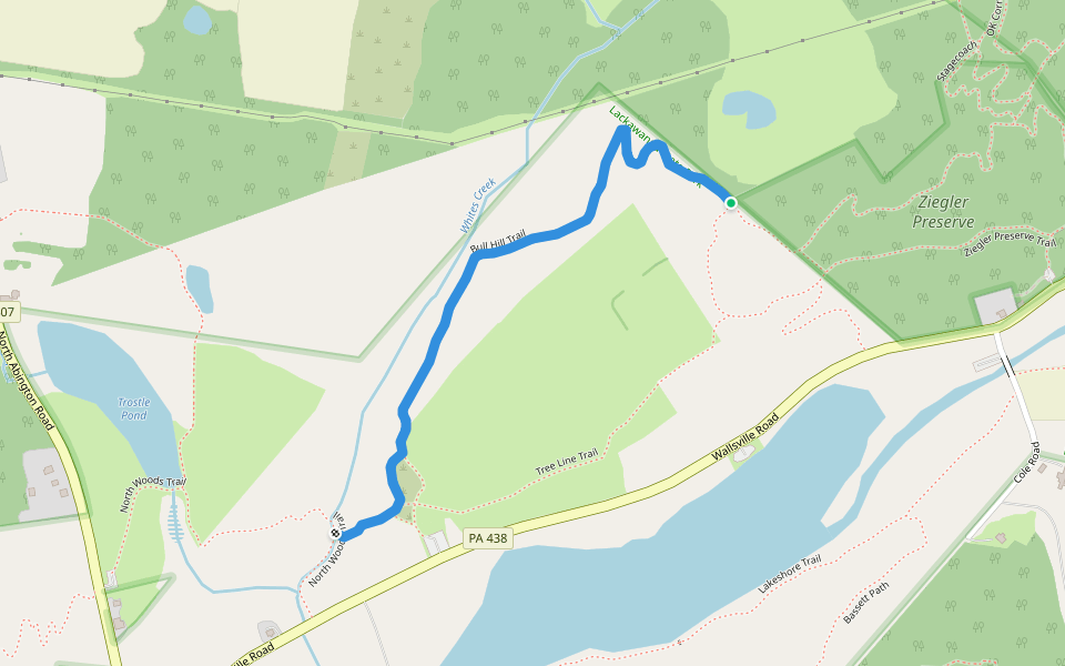 Bull Hill Trail walking route map in Dalton
