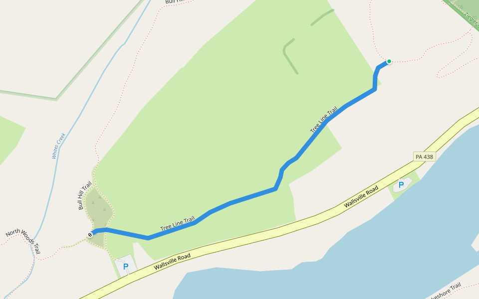 Tree Line Trail walking route map in Dalton
