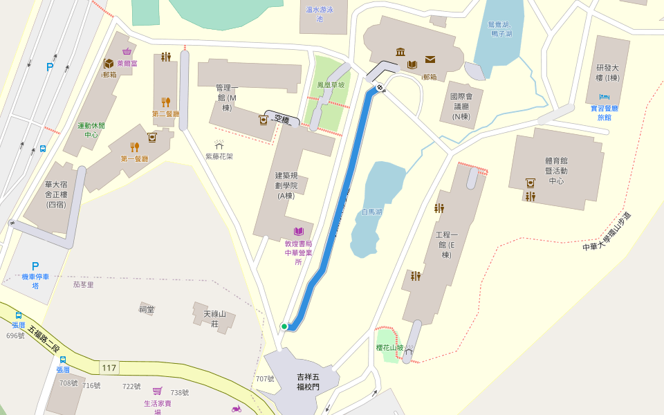 小葉南洋杉步道