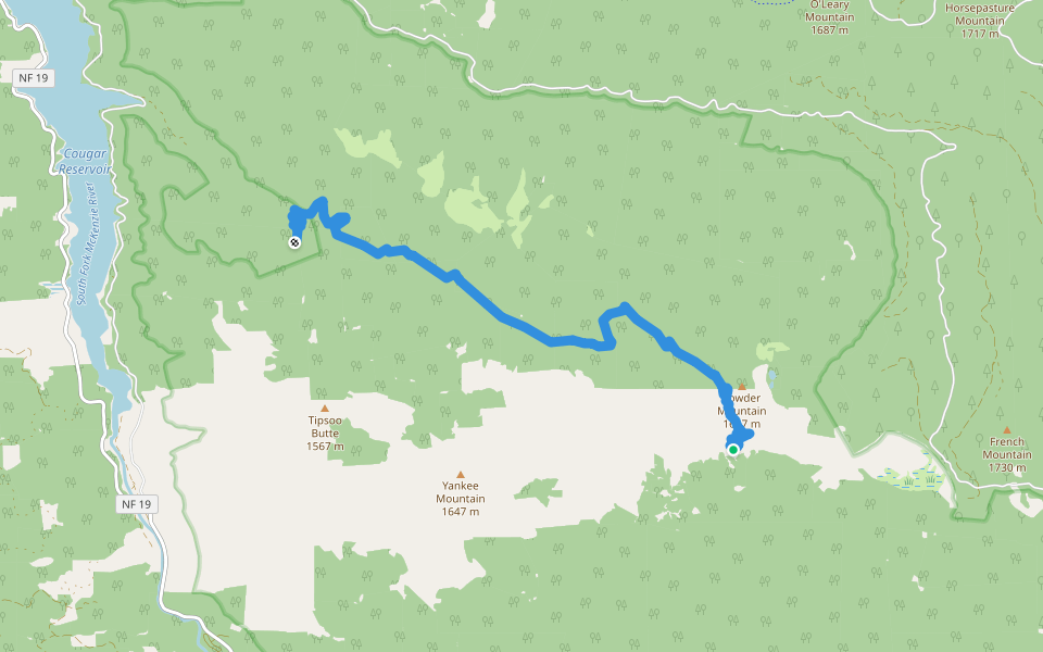 Walker Creek Trail #3330 walking route map in Foley Springs