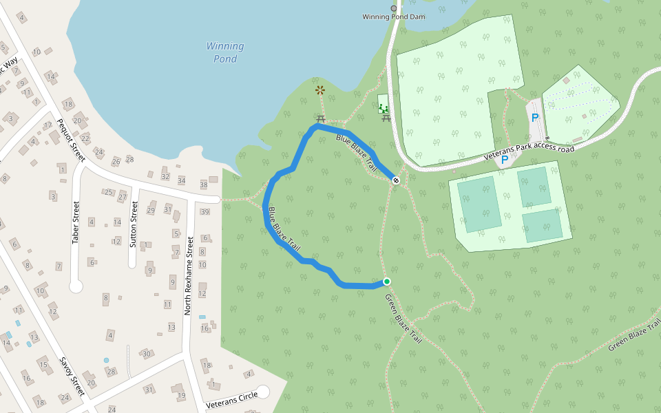 Blue Blaze Trail