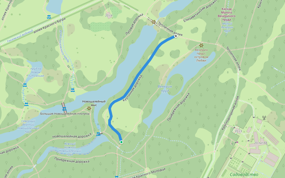 Куртинная дорожка