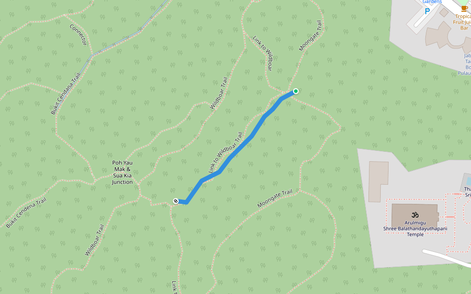 Link to Wildboar Trail walking route map in George Town