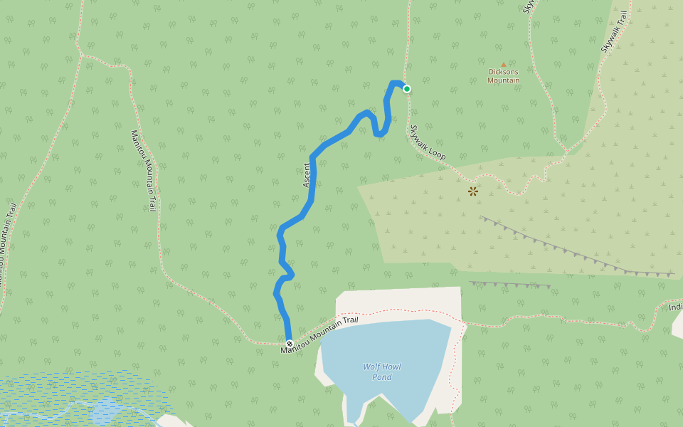 Ascent walking route map in Cobden