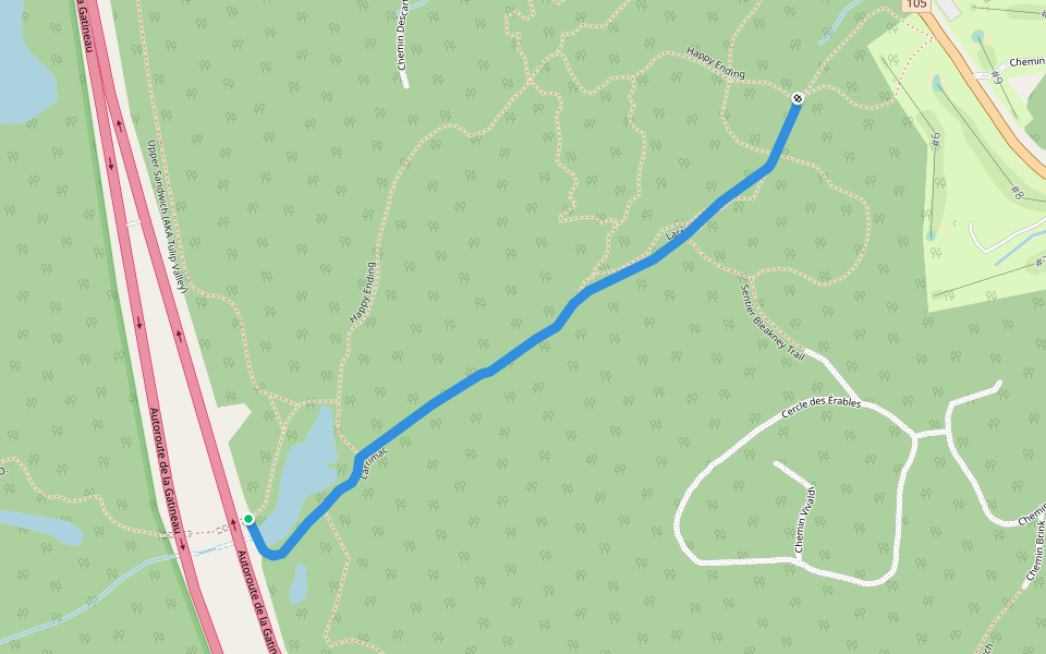 Larrimac walking route map in Chelsea