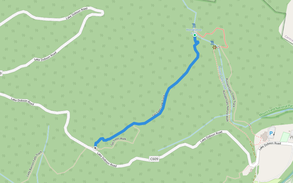Tall Trees Link Track walking route map in Mount Field