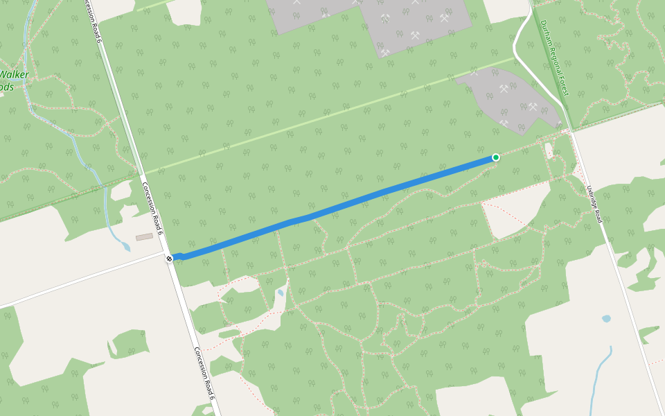 Walker Woods Access Trail walking route map in Goodwood