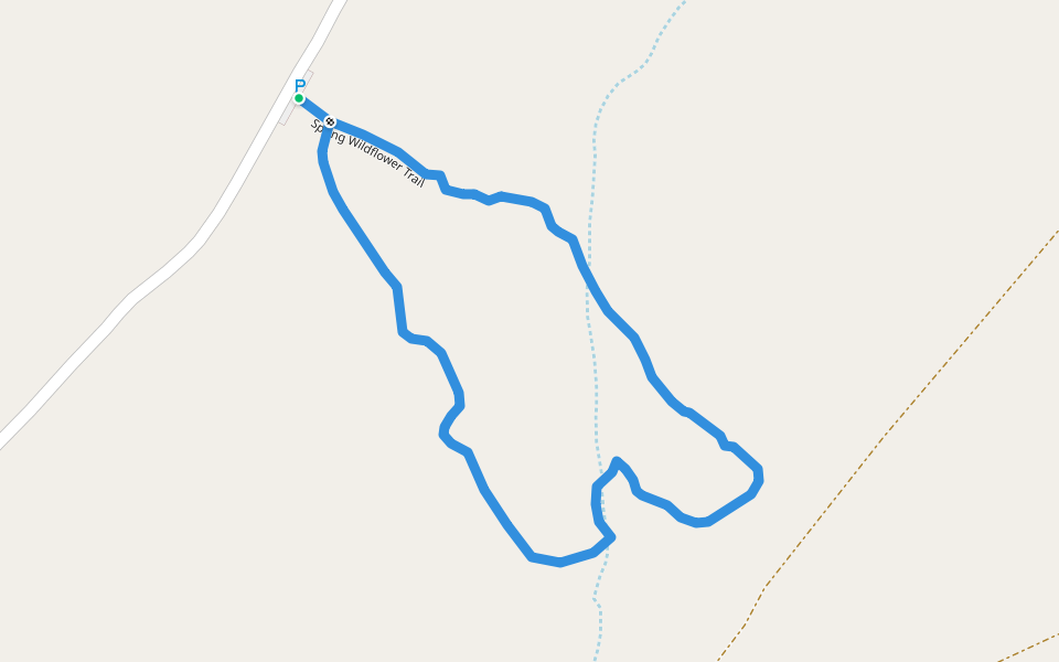Spring Wildflower Trail