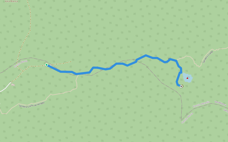 Sendero Laguna de Barva