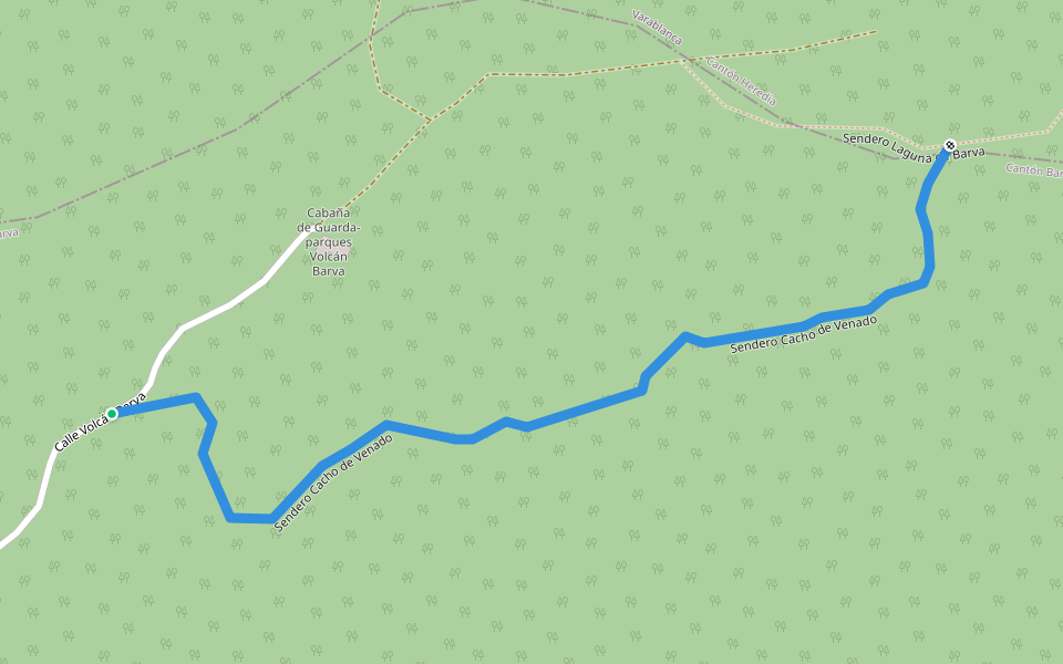 Sendero Cacho de Venado