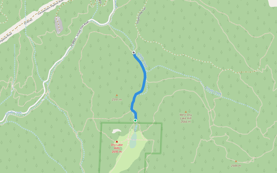 Little Gnarly Trail