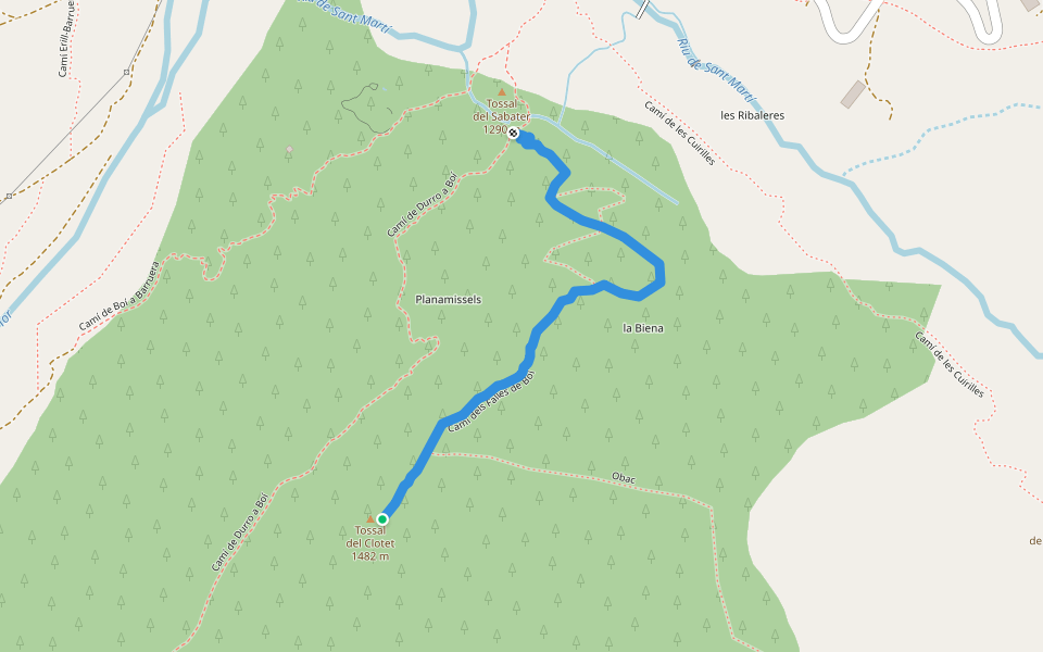 Camí dels Falles de Boí walking route map in Boí