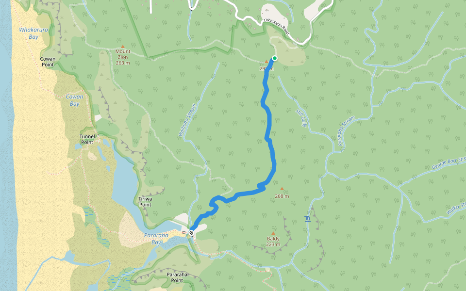 Buck Taylor Track walking route map in Karekare