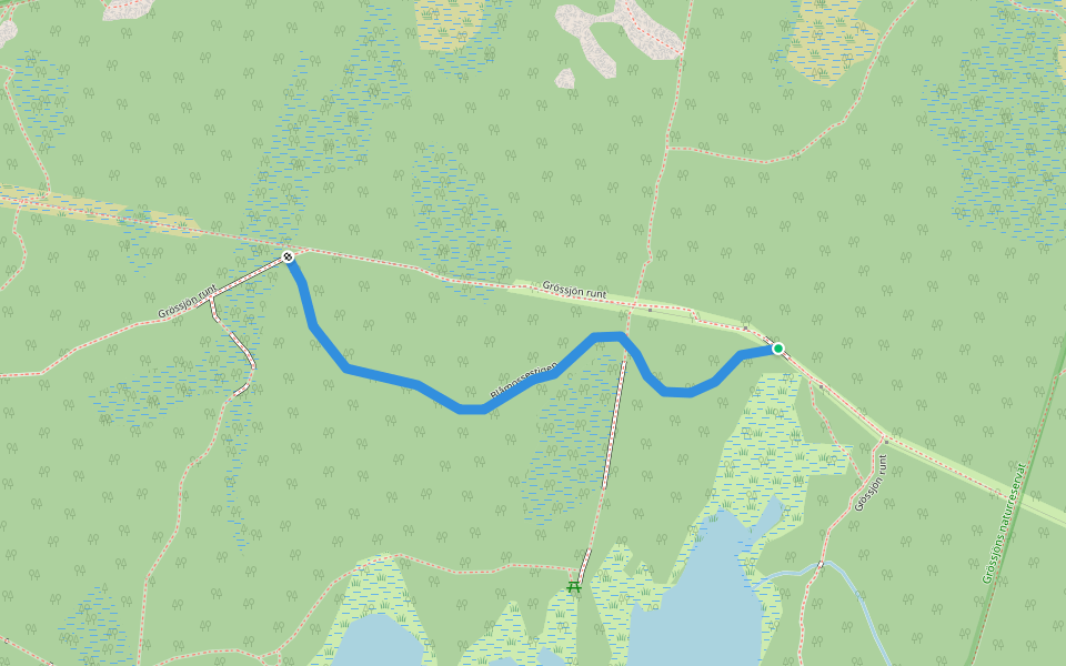 Blåmossestigen walking route map in Umeå