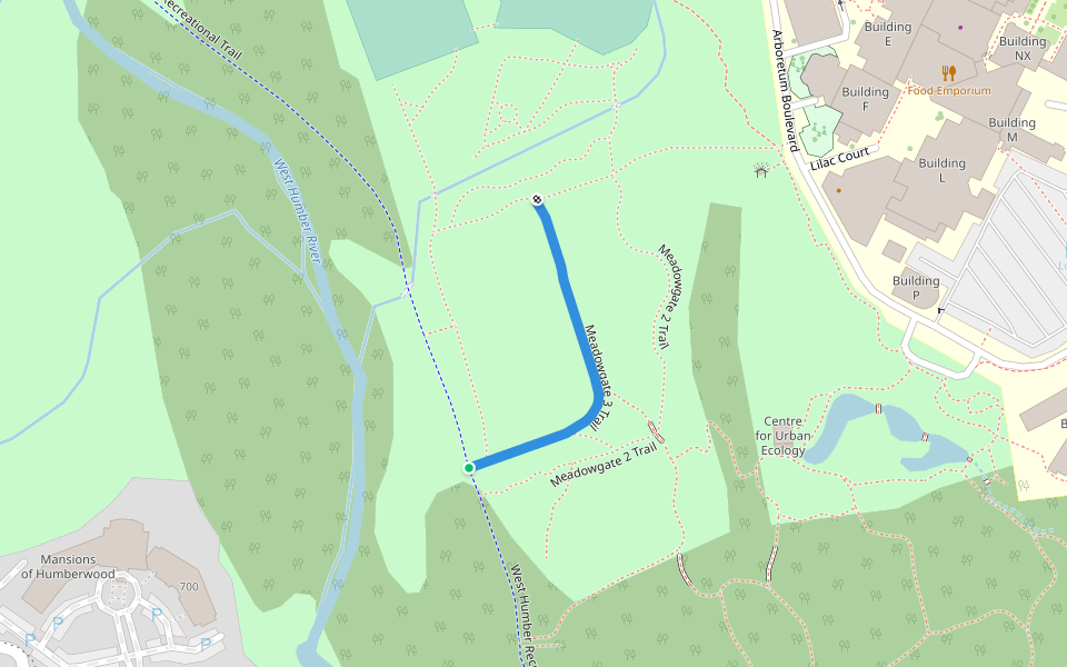 Meadowgate 3 Trail