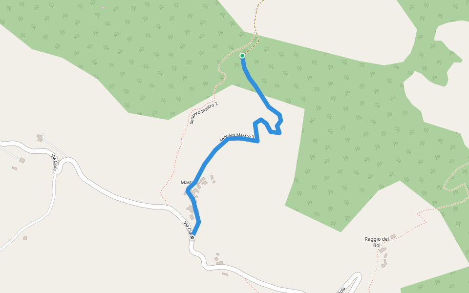 Sentiero Mastro 1 walking route map in Mastro