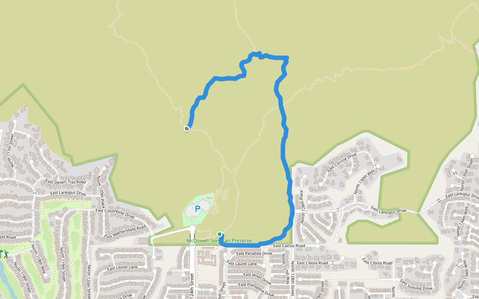 Ringtail Trail