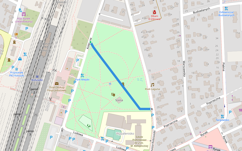 Aleja Oddziału Partyzanckiego AK Porucznika Sama walking route map in Koluszki