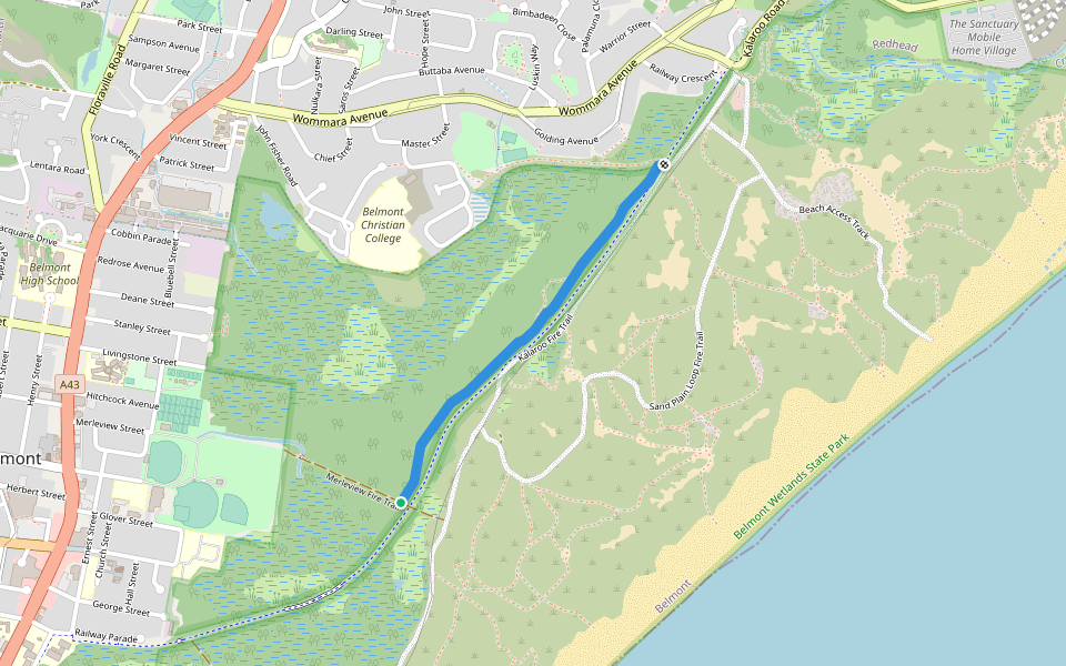 Wildflower Walk walking route map in Belmont