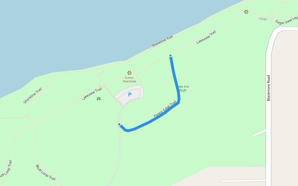 Forest Edge Trail walking route map in Painesville